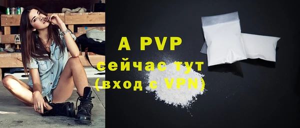 стафф Аркадак