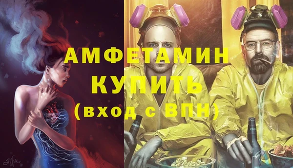 стафф Аркадак