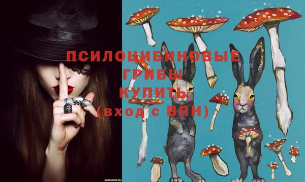 стафф Аркадак