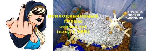 стафф Аркадак